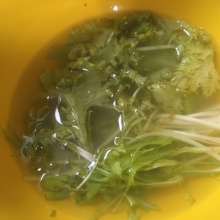水菜とワサビ菜の味噌汁